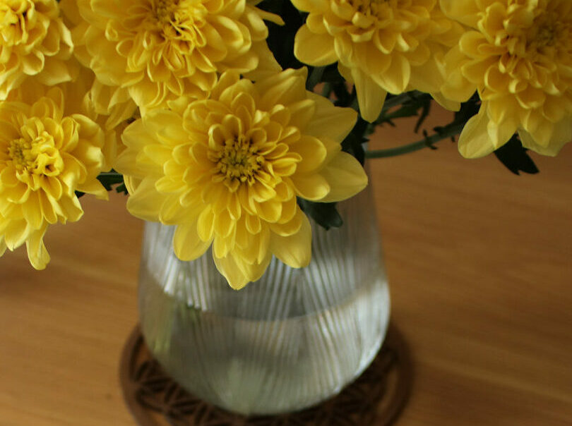 Rapport d'aménagement intérieur feng shui - axes d'amélioration - Symphonie Feng-Shui, sur une table en bois avec un vase et des fleurs jaunes -Feng Shui Audit Aménagement intérieur Paris.